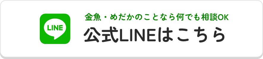 公式LINEはこちら